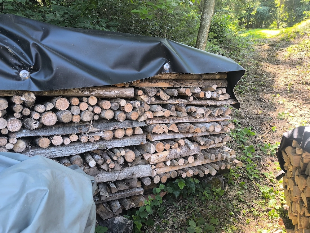 Brennholz Weich Hart