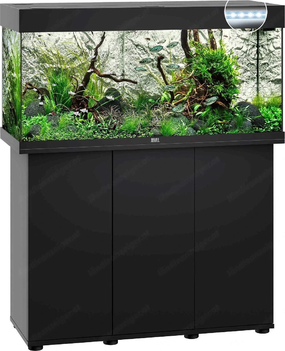 Aquarium Juwel 180l Schwarz