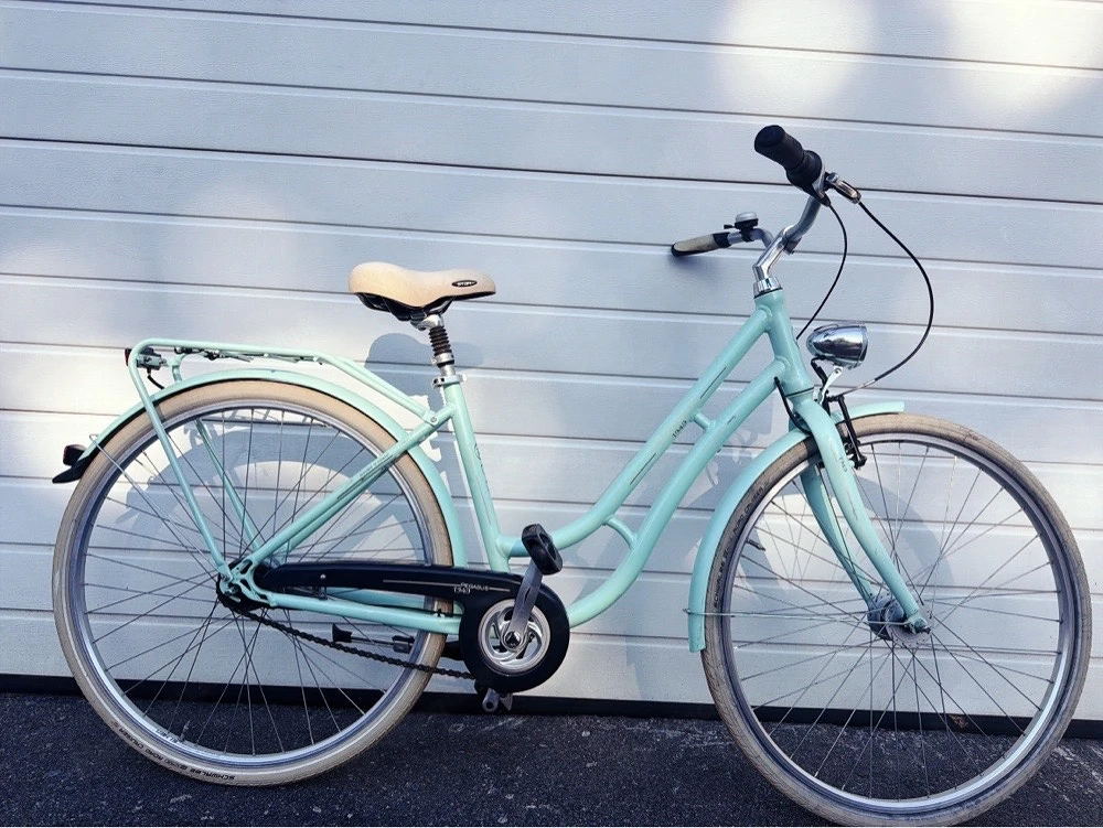Damen Fahrrad