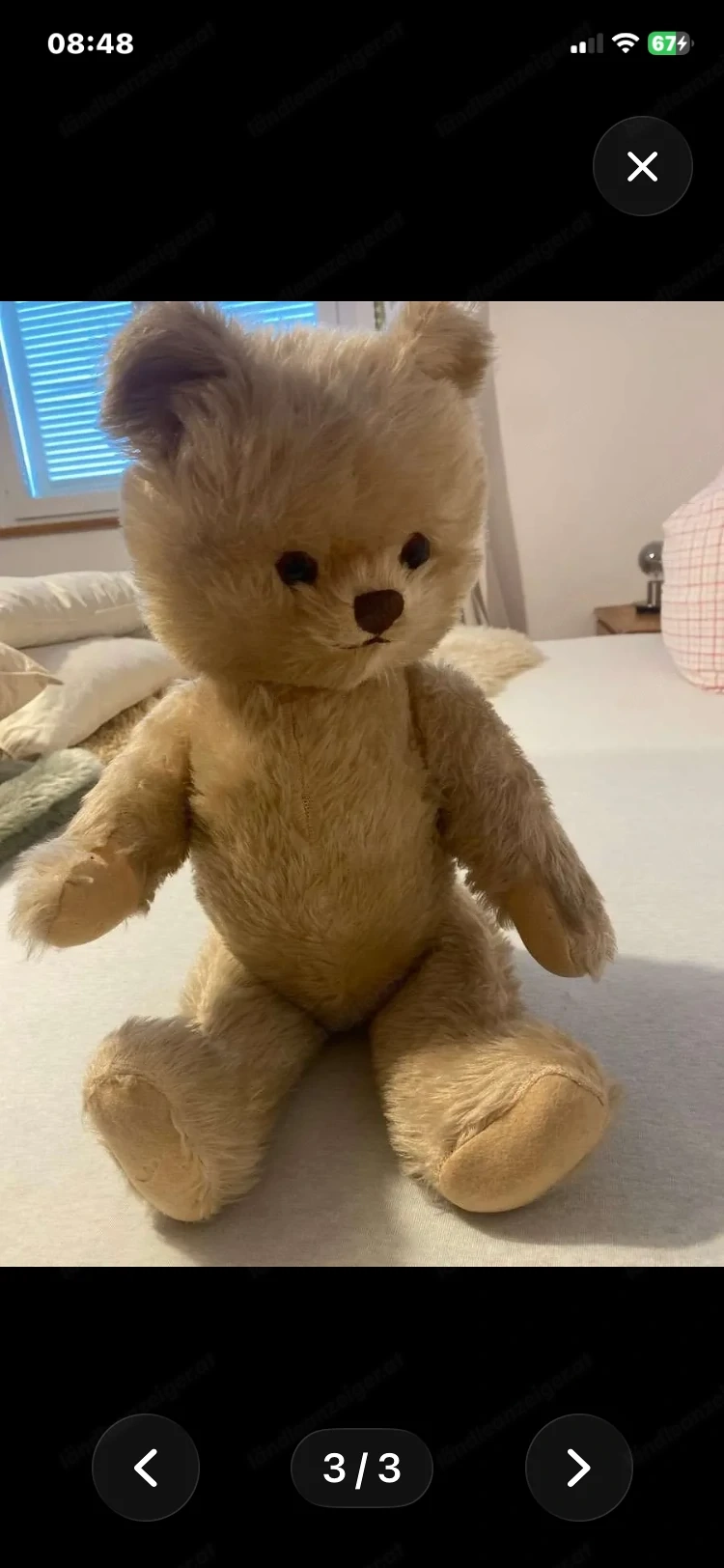 Teddybaer alt zu verkaufen 
