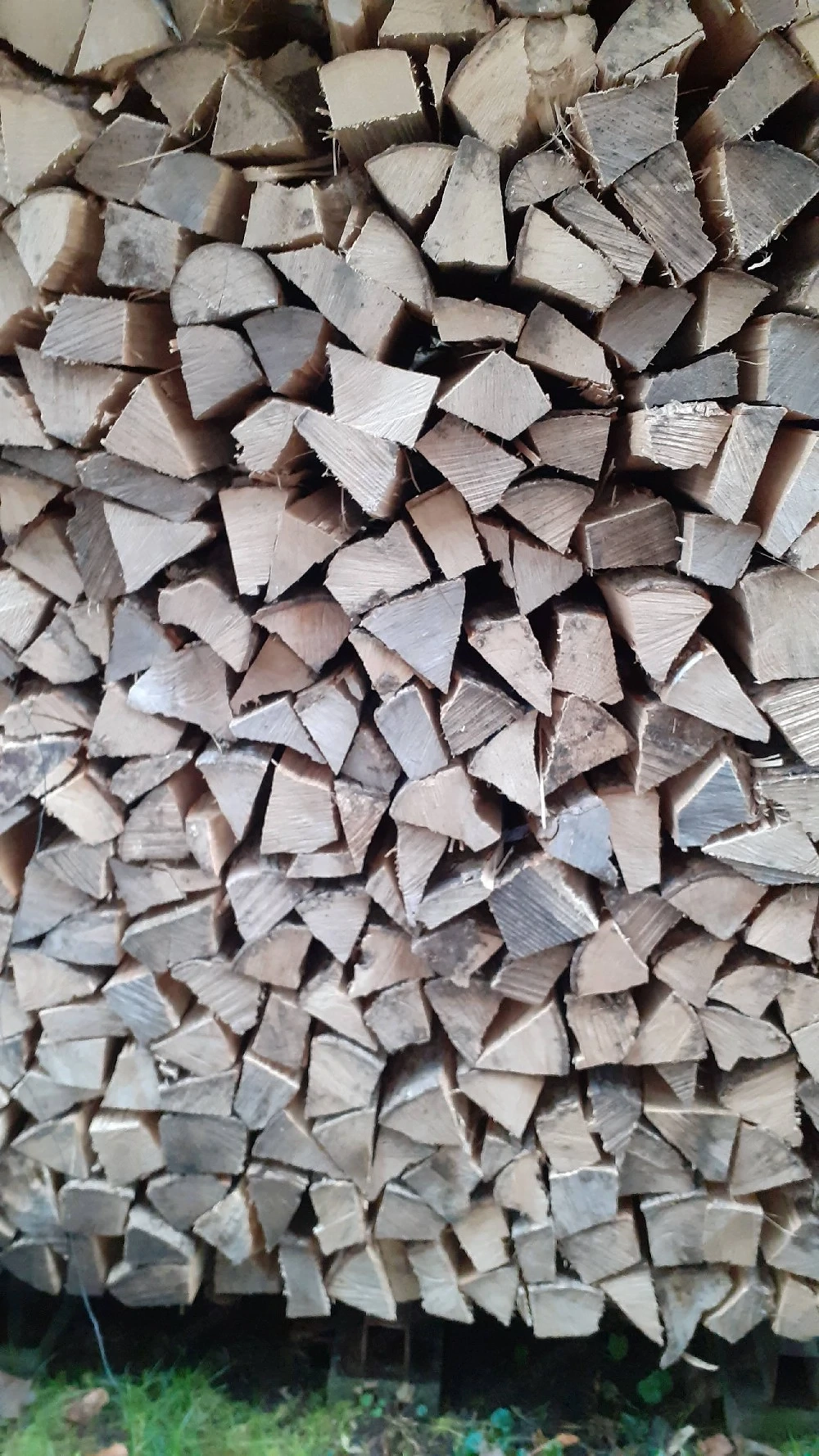 Brennholz hart 