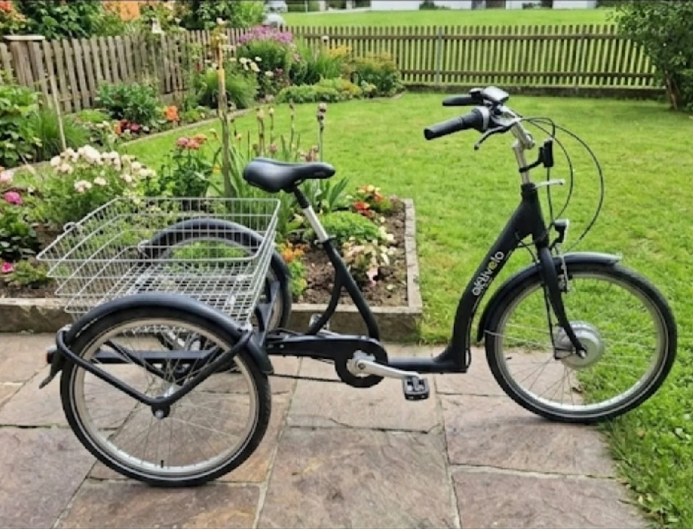 Activelo Premium E-Dreirad für Erwachsene   Stabil, Komfortabel & Sicher