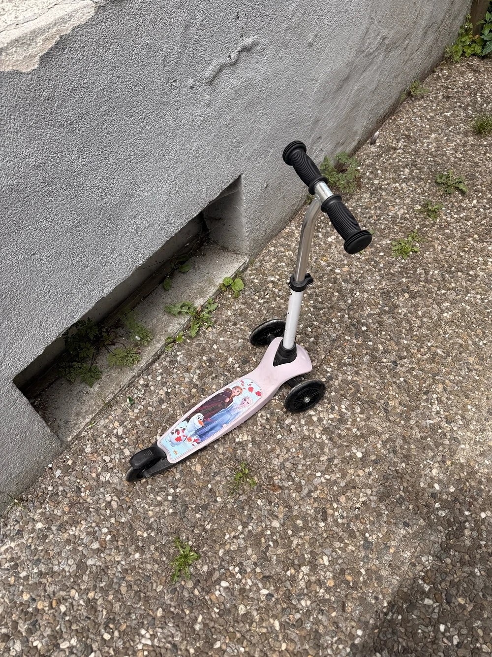 Scooter Elsa