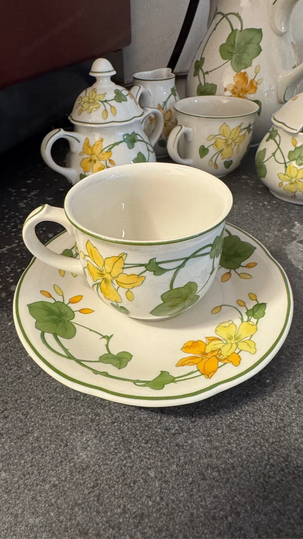 Frühstücksservice Porzellan Villeroy & Boch Geranium