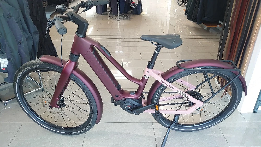 NEU E-Bike Da-Mädchen