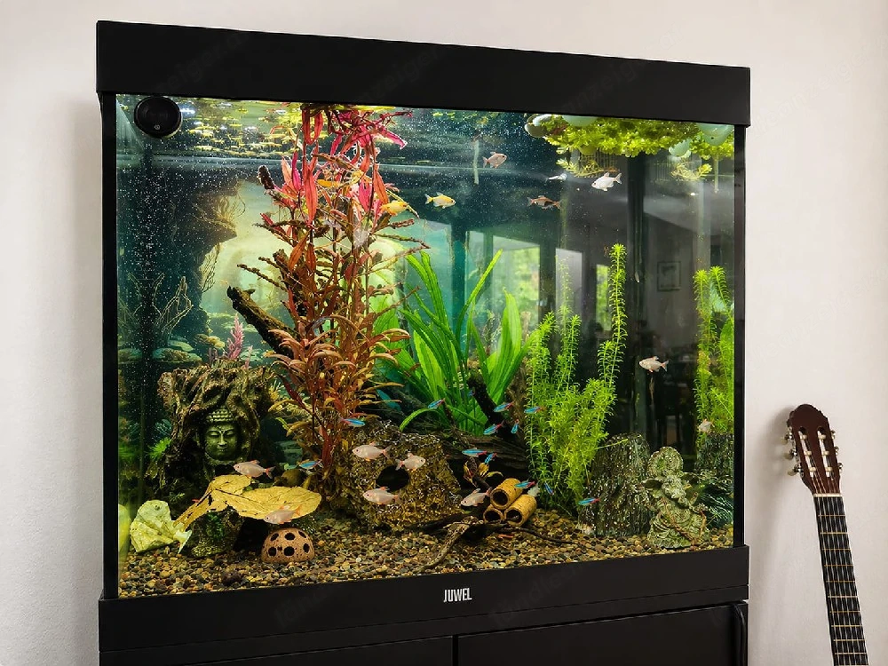 200l Juwel Aquarium - komplett