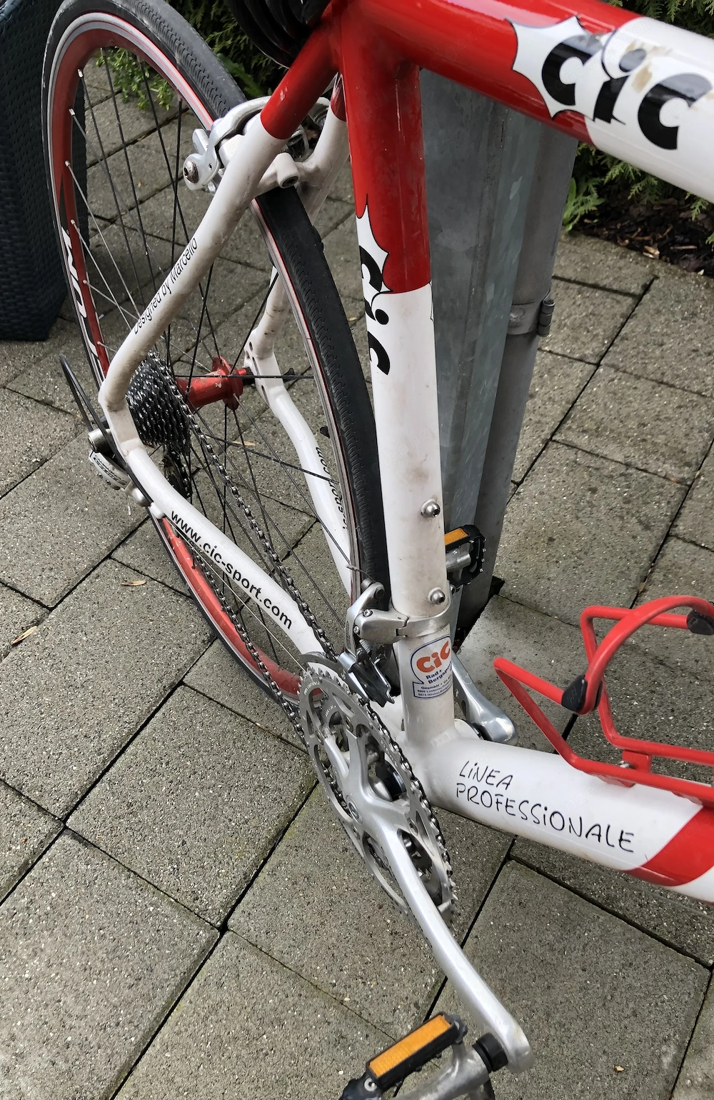 Herren - Damen Rennrad