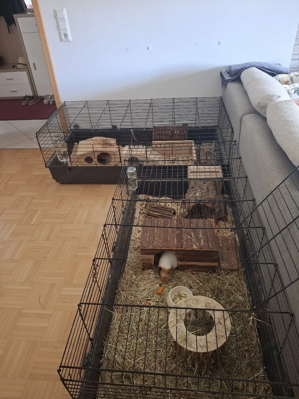 2 stück gebrauchtes käfig 