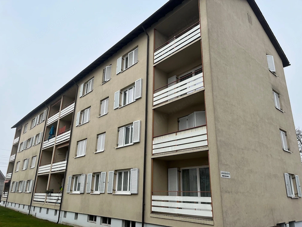 3 zimmerwohnung