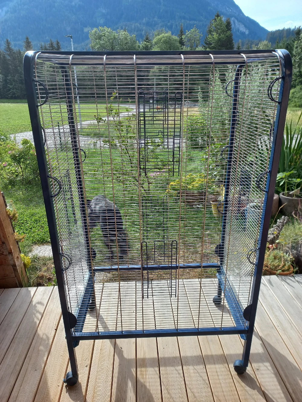 Voliere   Vogelkäfig