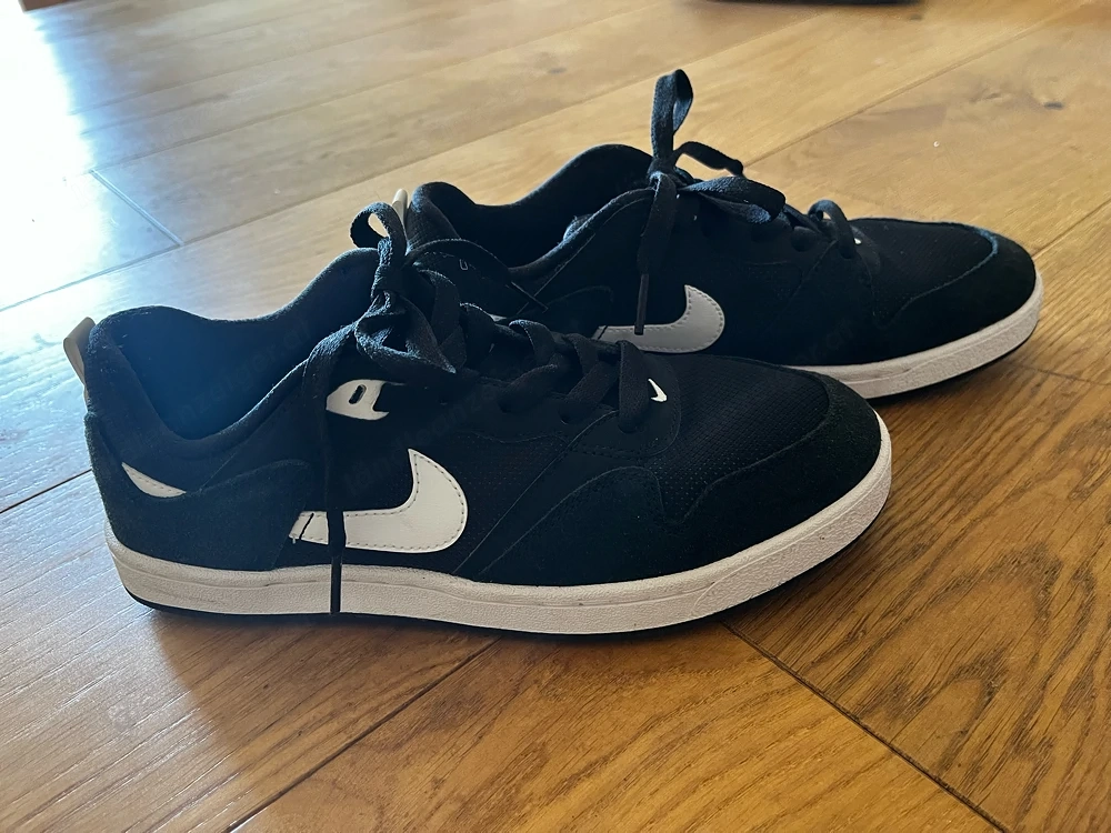 Nike Schuhe SB