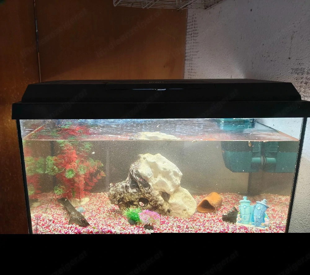  Aquarium 