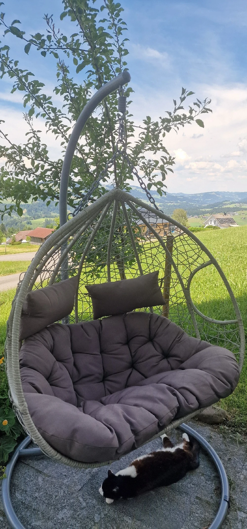 Hängesessel 