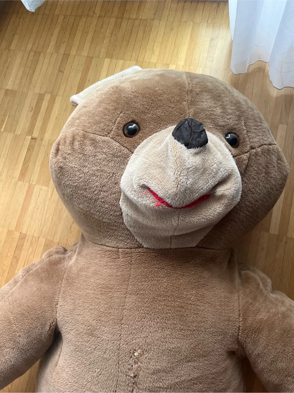 Riesiger Teddybär XXL   super kuschelig