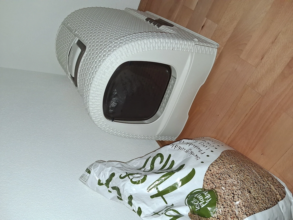 Katzenklo und Katzenstreu