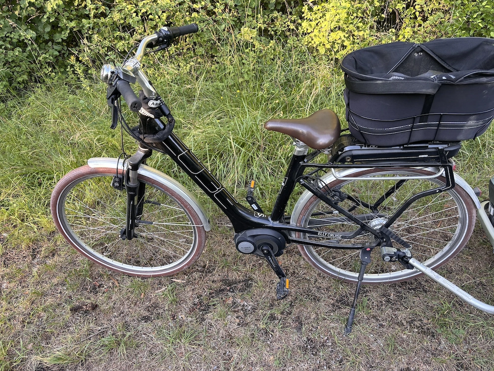 Cube Elly Cruise Damen E-Bike