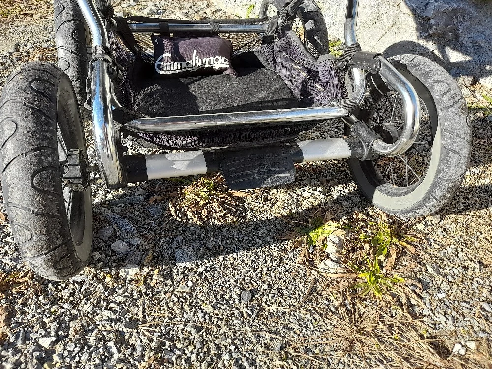 Emmaljunga Kinderwagen