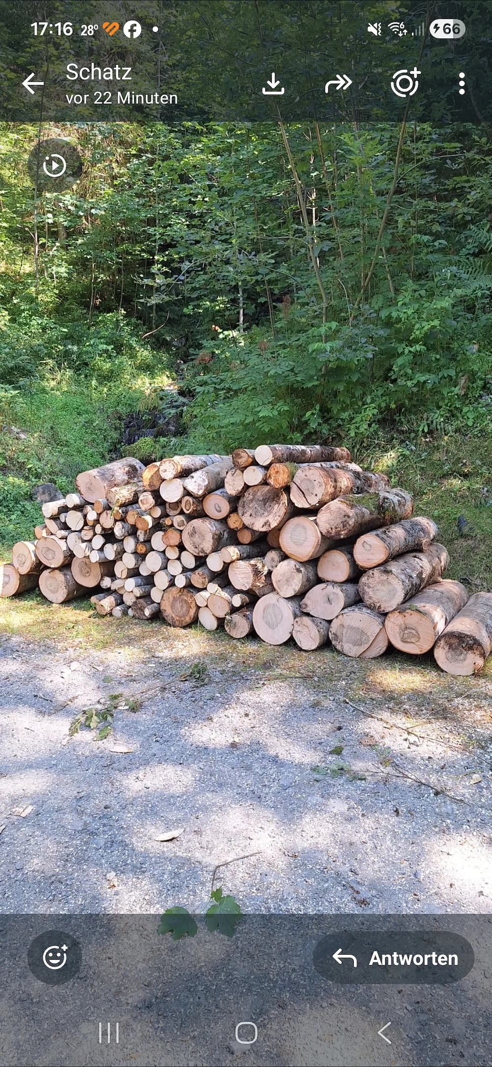 Brennholz zu verkaufen 