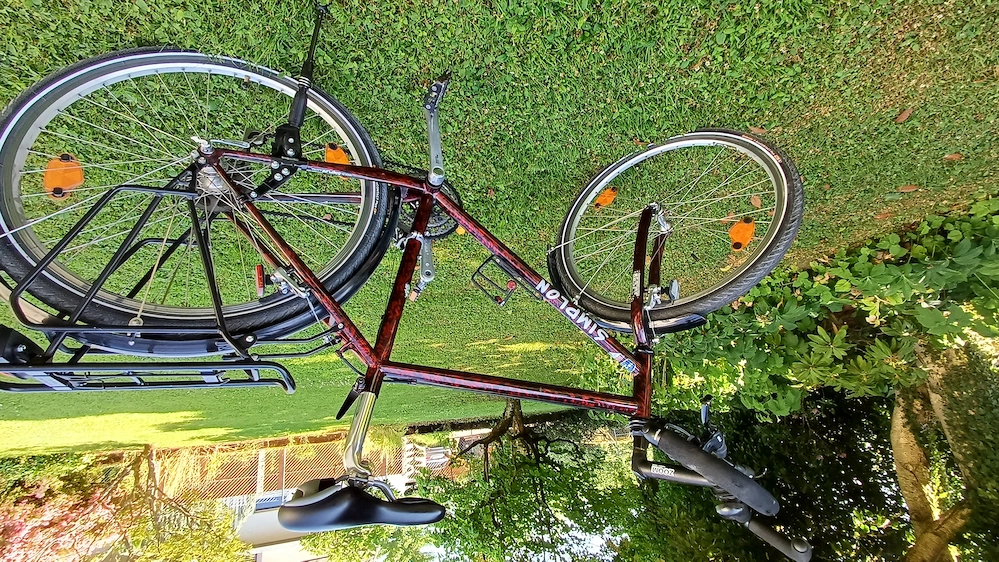 Simplon Herrenbike günstig 