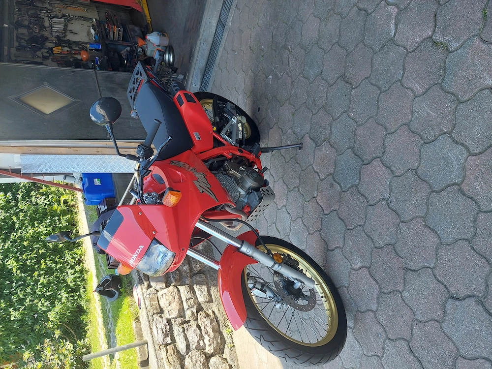 Honda nx 500 terminator