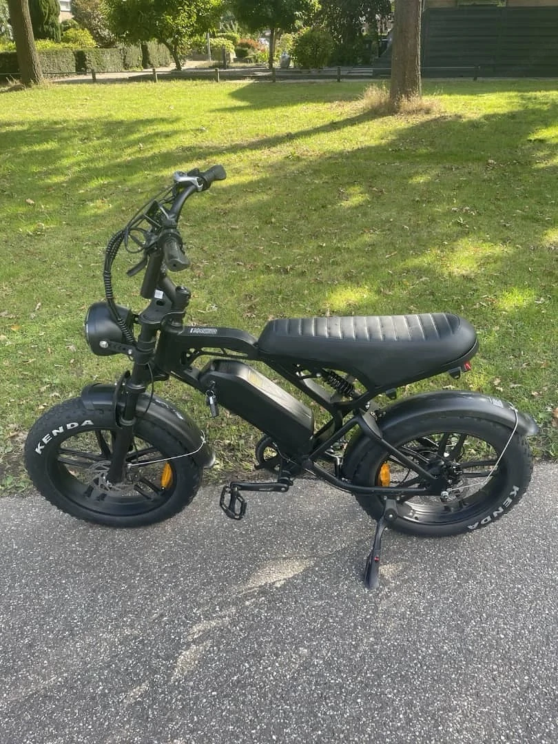 elektrisches Fatbike 