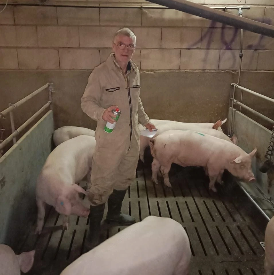 Ich suche für mich einen Nebenjob als Stallhelfer für zweit Tage auf Ihrem Bauernhof mit Unterkunft