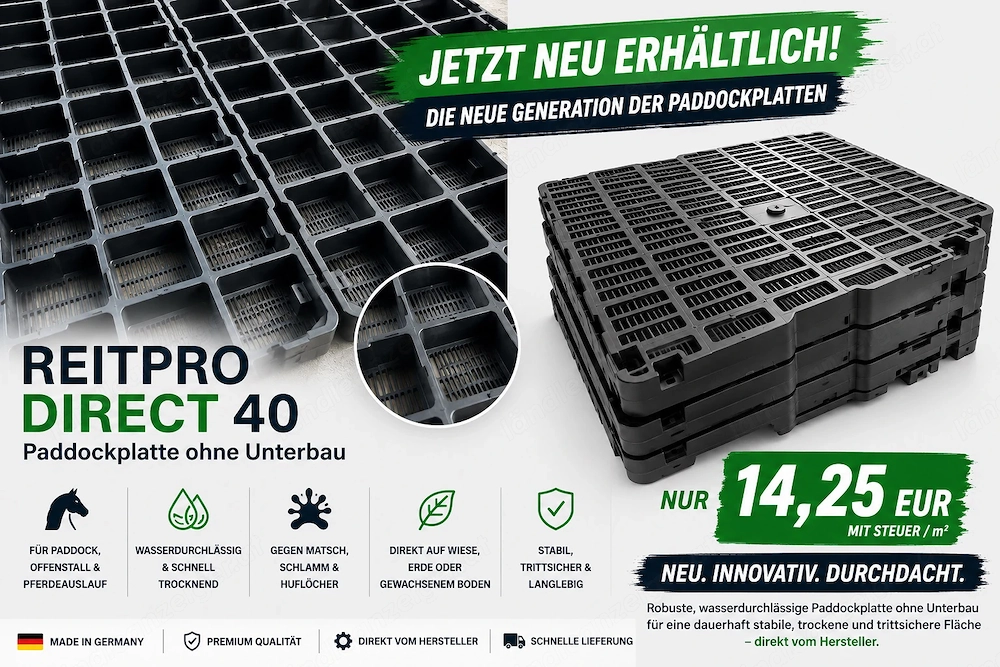 Paddockplatten ohne Unterbau ReitPRO Direct 40 Rasengitter - ideale Paddockgitter kaufen