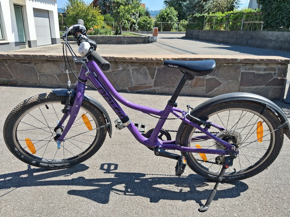 Naloo Chameleon 20 Zoll MK2 - Kinderfahrrad
