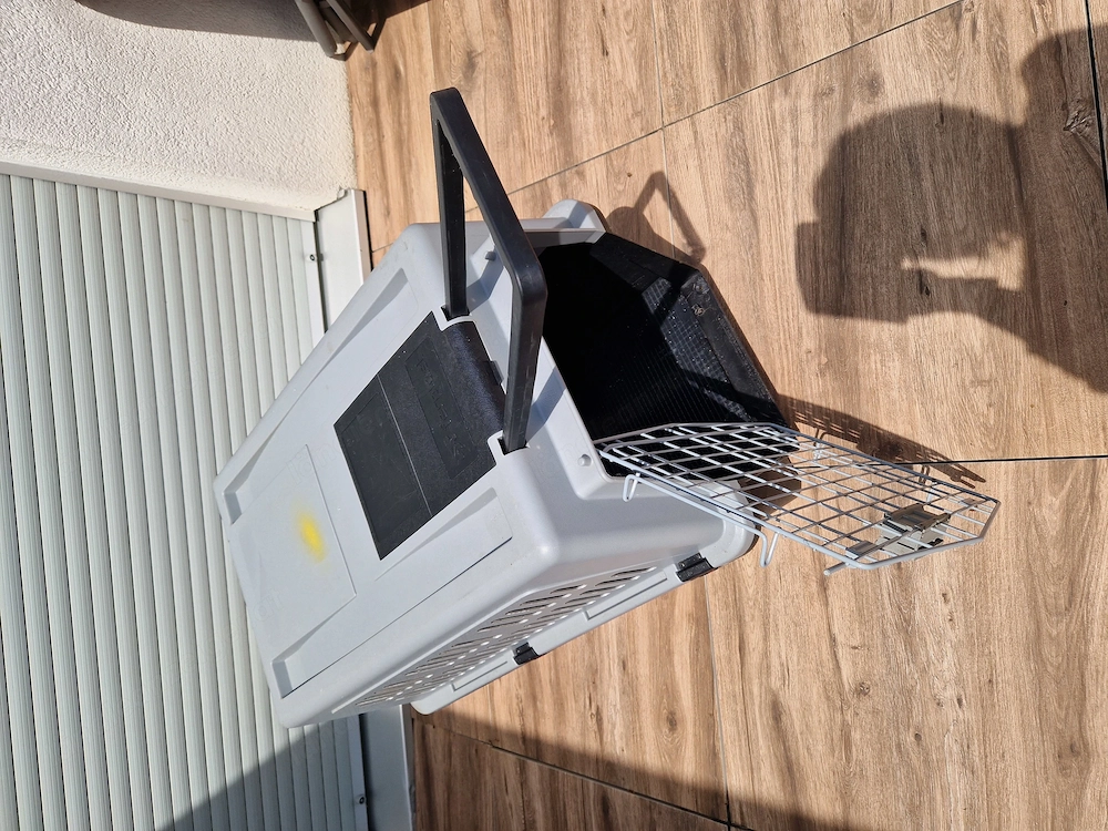 Hundetransportbox