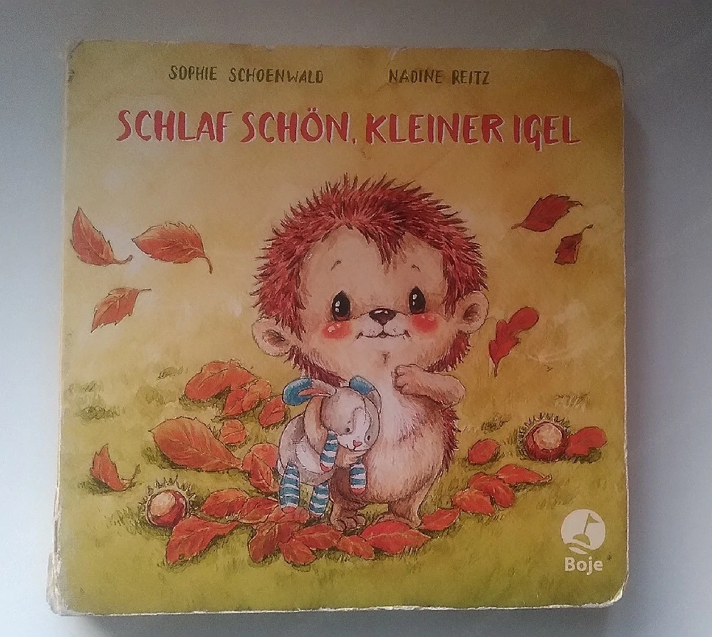 Schlaf schön, kleiner Igel