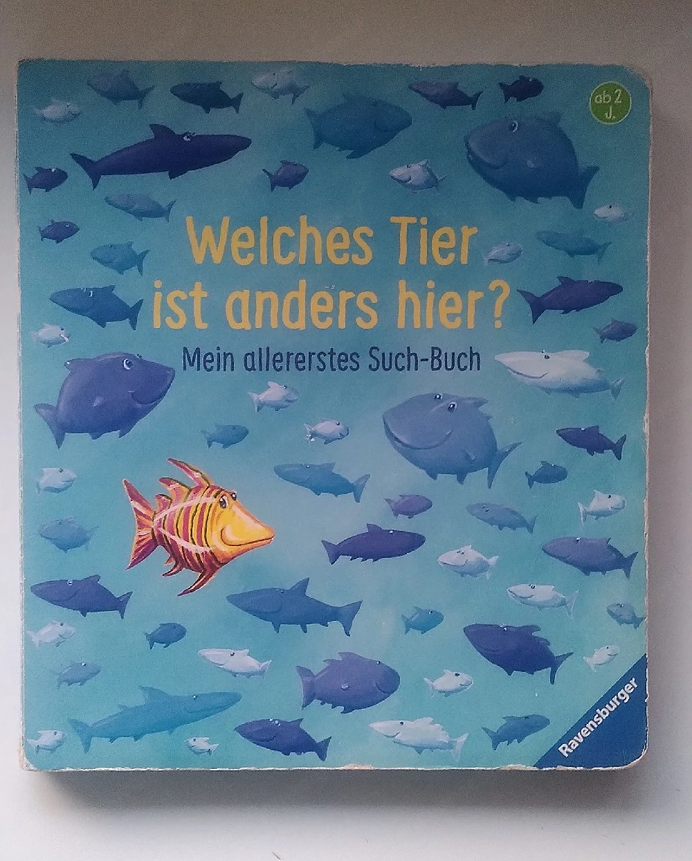 "Welches Tier ist anders hier - mein allererstes Suchbuch"