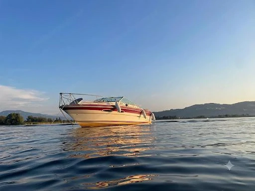 Motorboot für Bastler und handwerklich begabte Liebhaber (Sea Ray Boats) - BJ 1987
