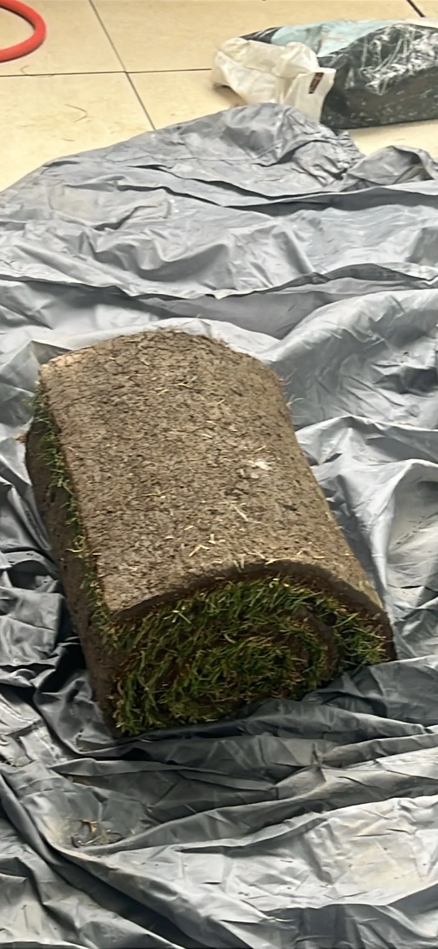 verschenke Rollrasen