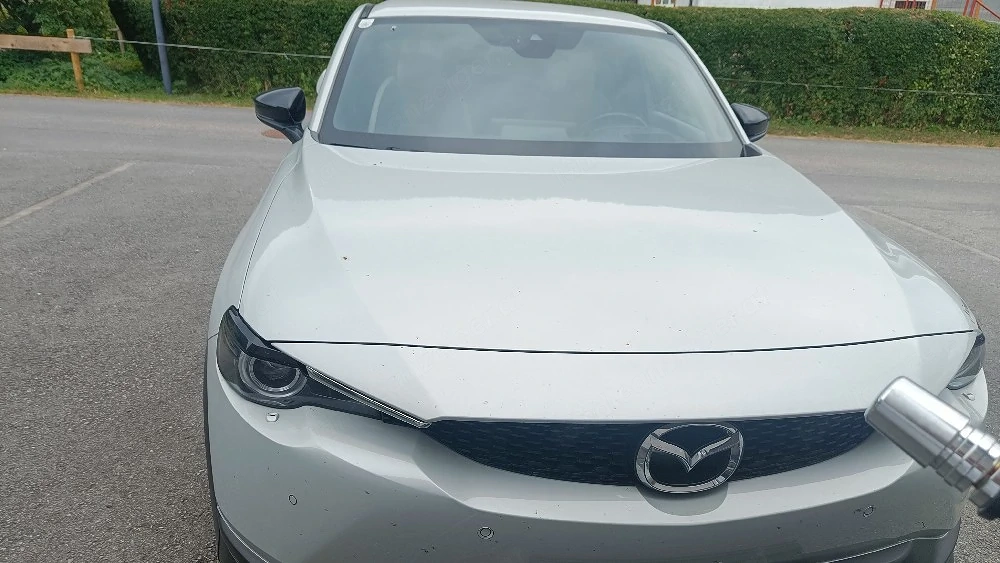 mx 30 elektro