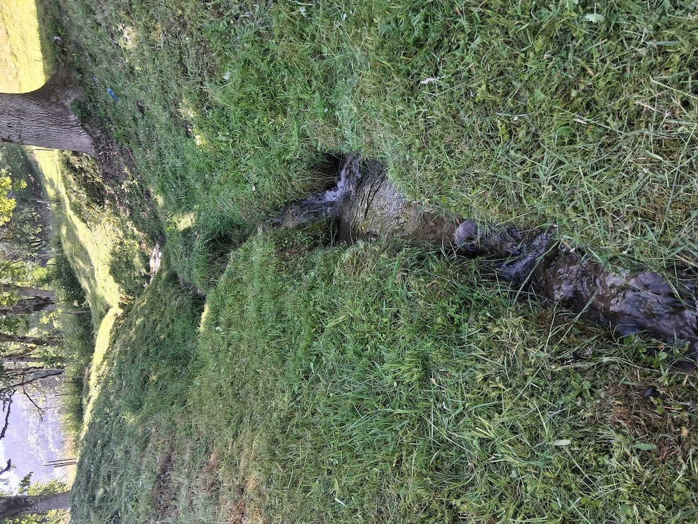 landw, Grundstück in Nenzing