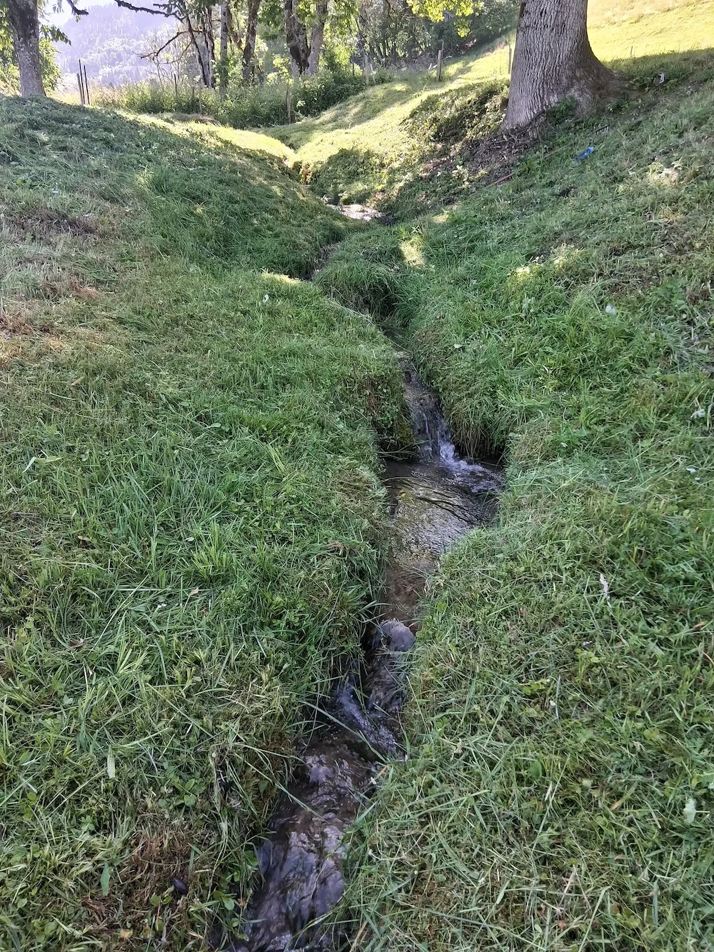 landwirtschaftliches Grundstück in Nenzing