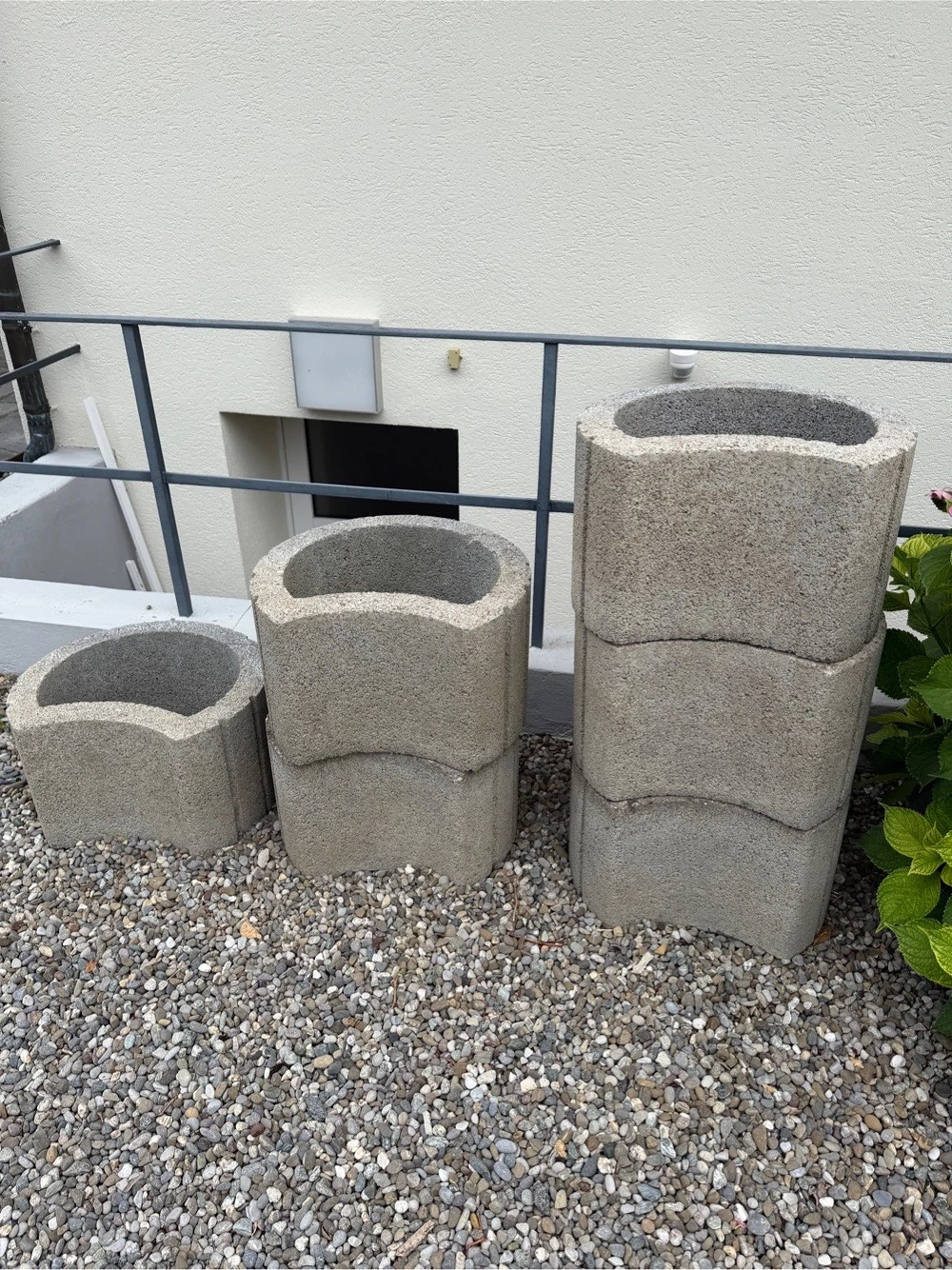 Pflanzenringe