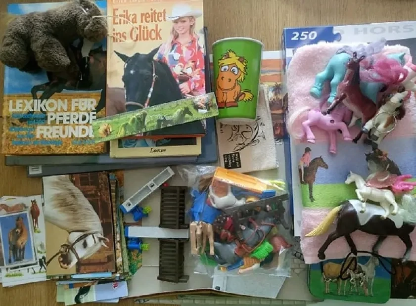 Kleine Pferde Sammlung: Playmobil Reiterhof, Bücher, Puzzle, Sticker und mehr
