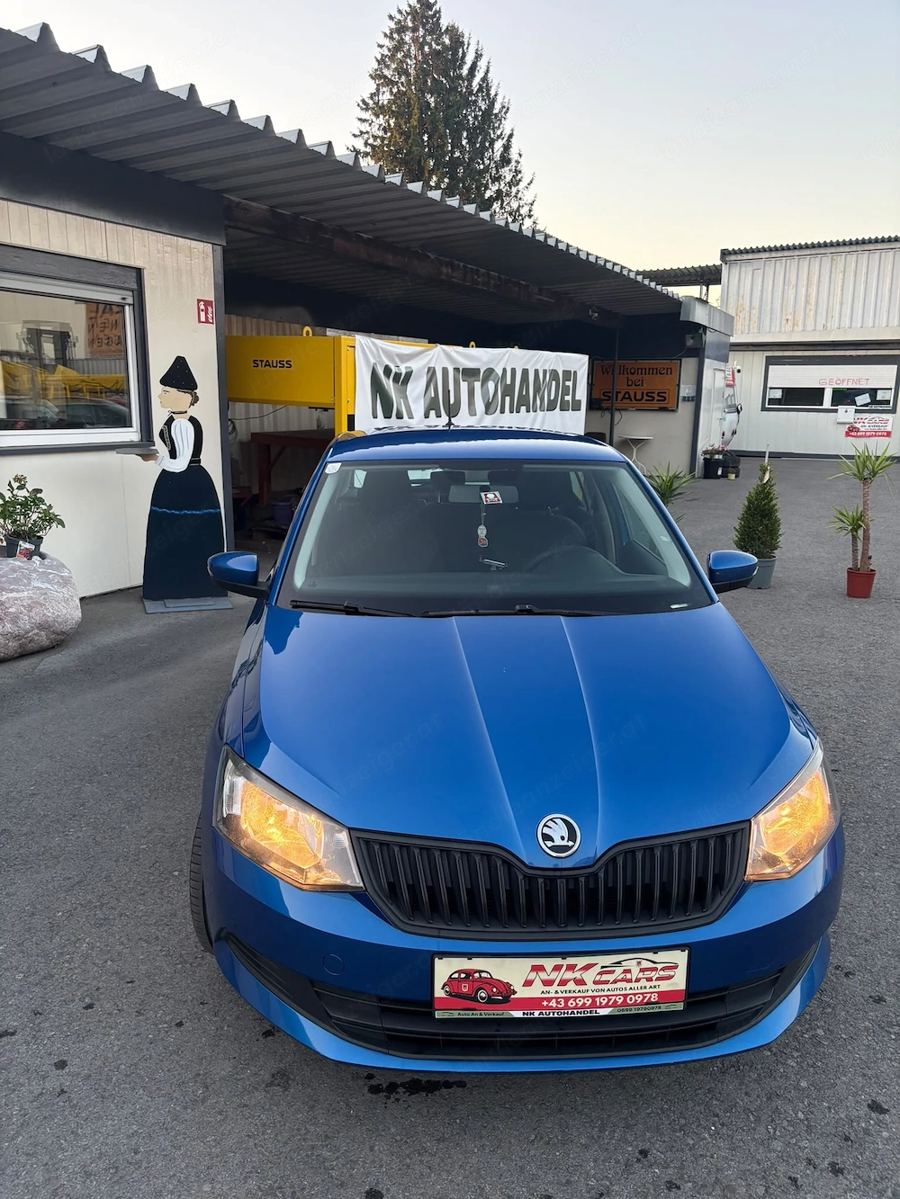 Skoda Fabia 2017