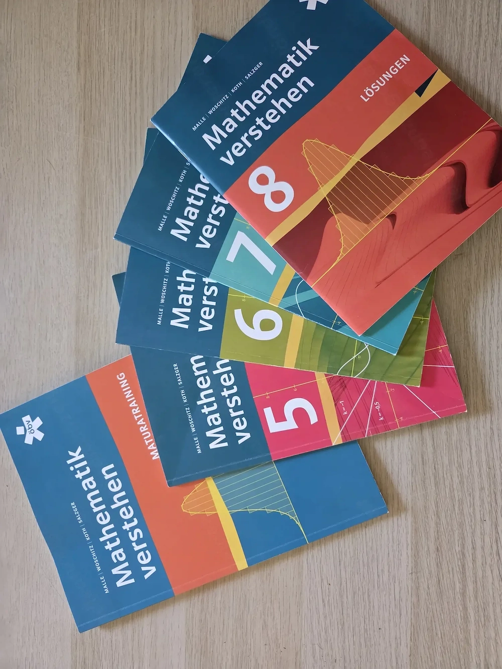 Mathematik verstehen Lösungen