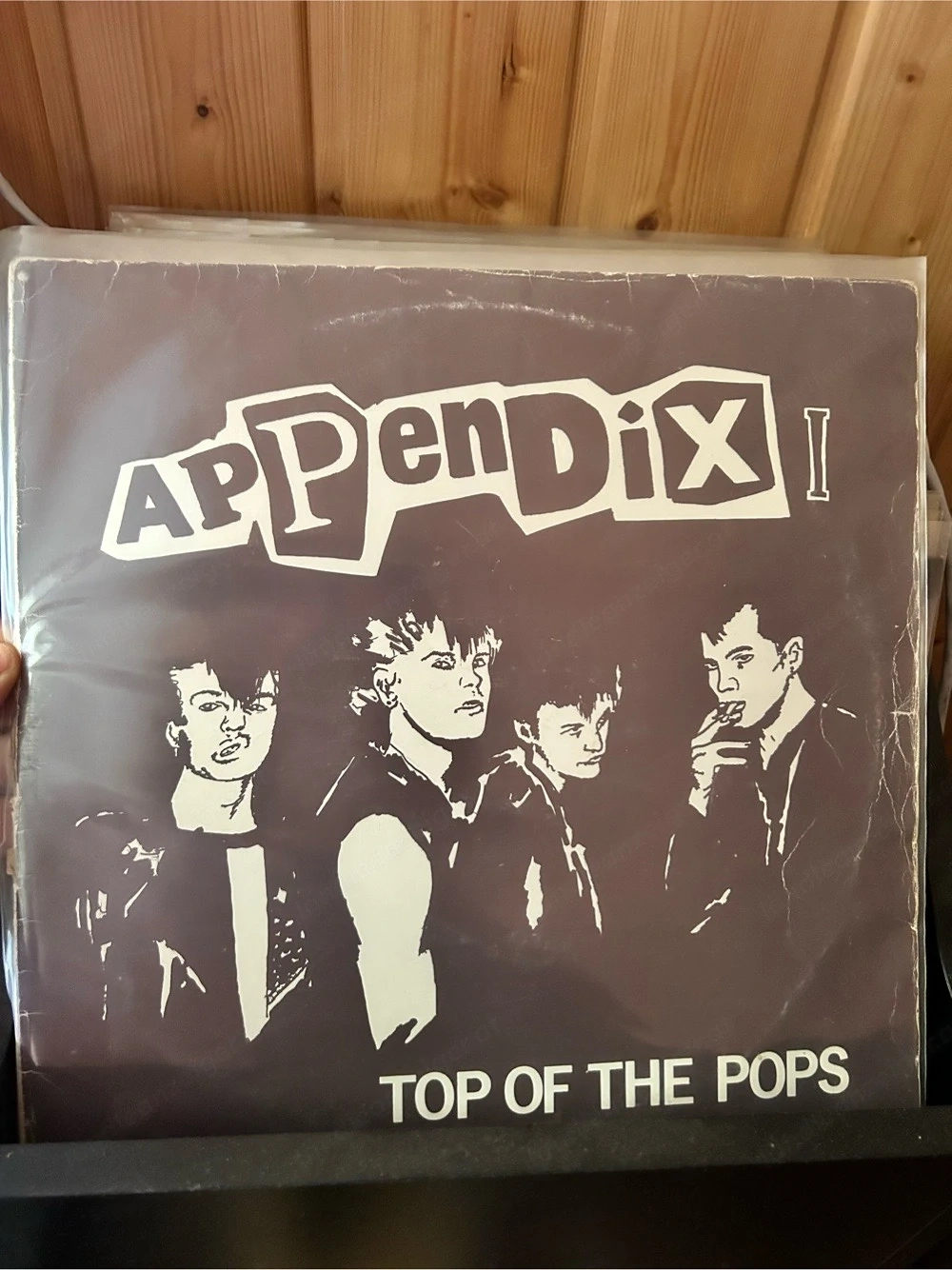 LP und Single Sammlung Hc,Japcore, D-Beat, Crust