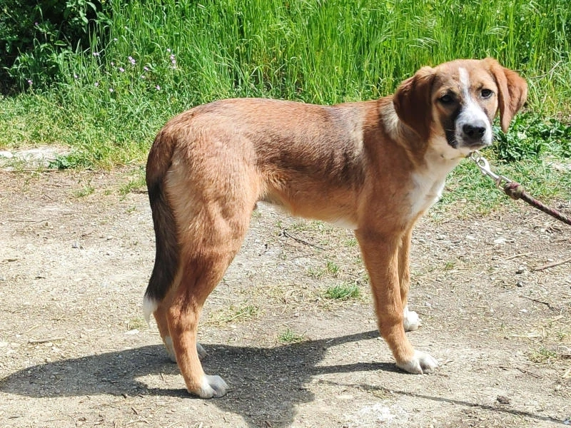 Micki sehnt sich nach dauerhaftem Zuhause