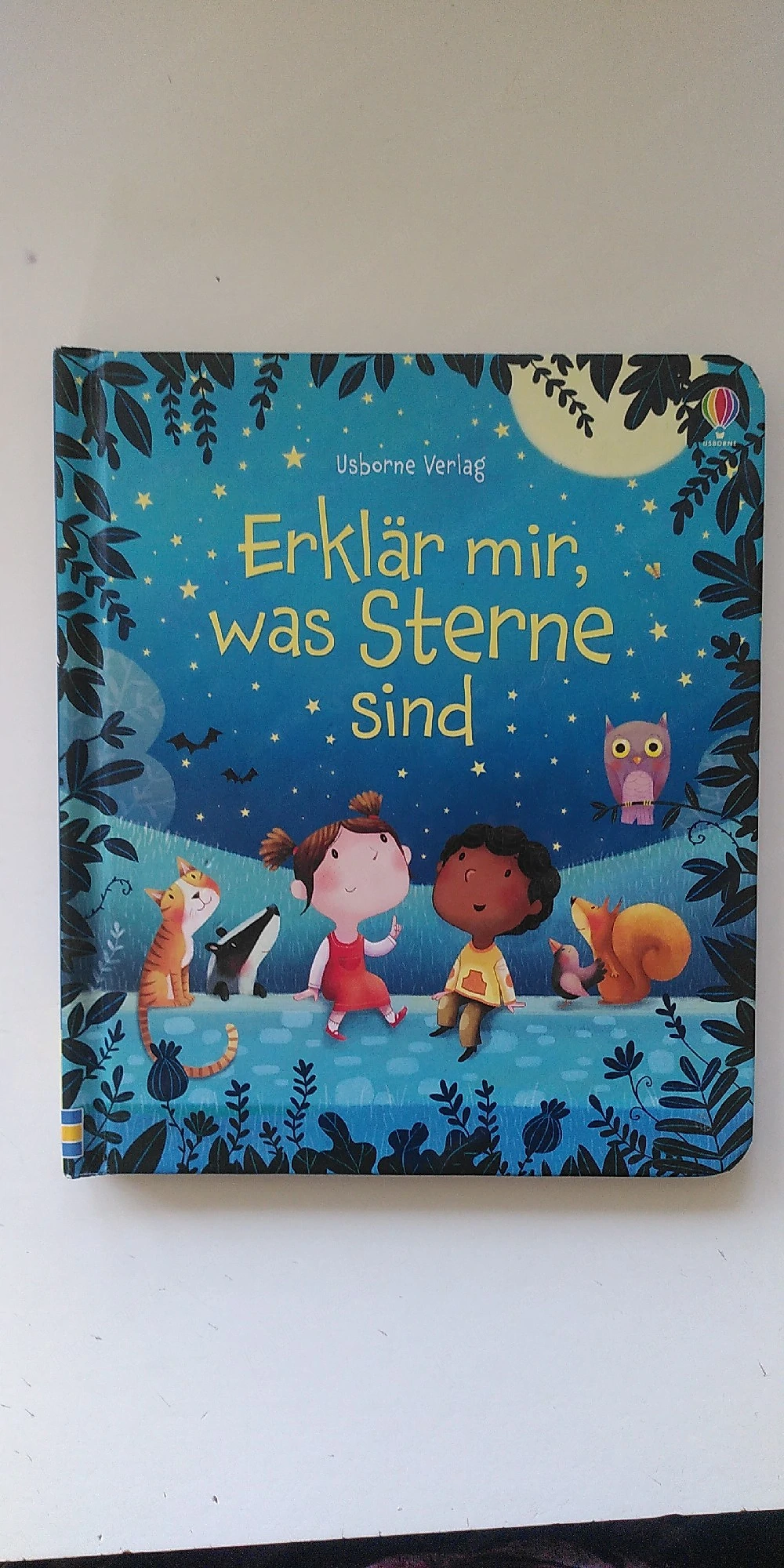 Bilderbuch "Erklär mir, was Sterne sind"