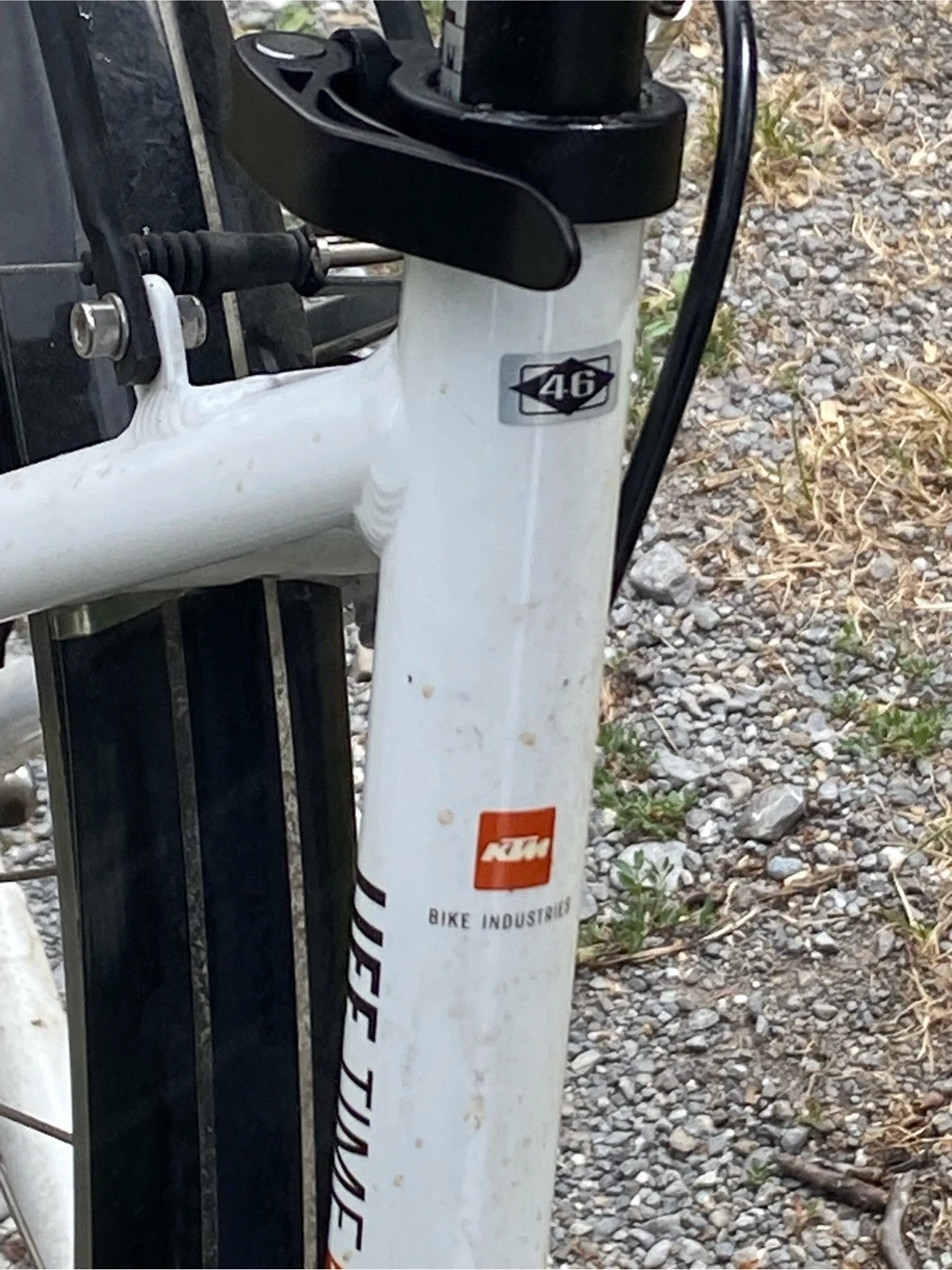 damen fahrrad