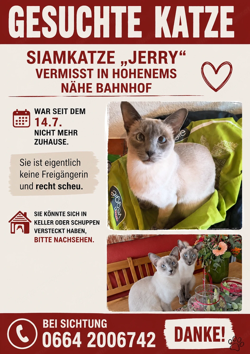 Vermisst in Hohenems Siamkatze 