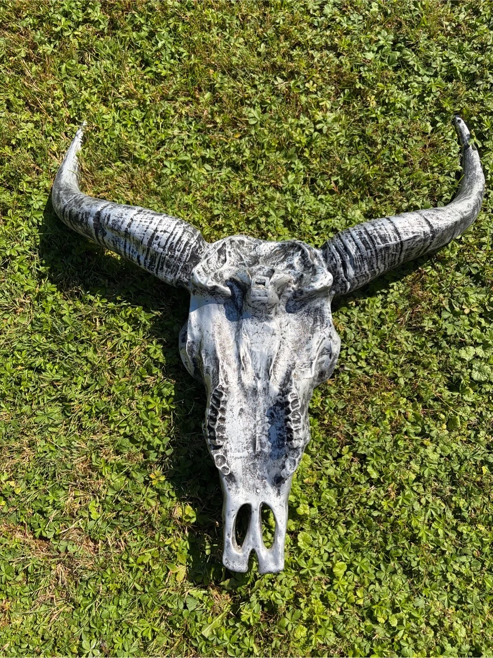 Longhorn Schädel Deko