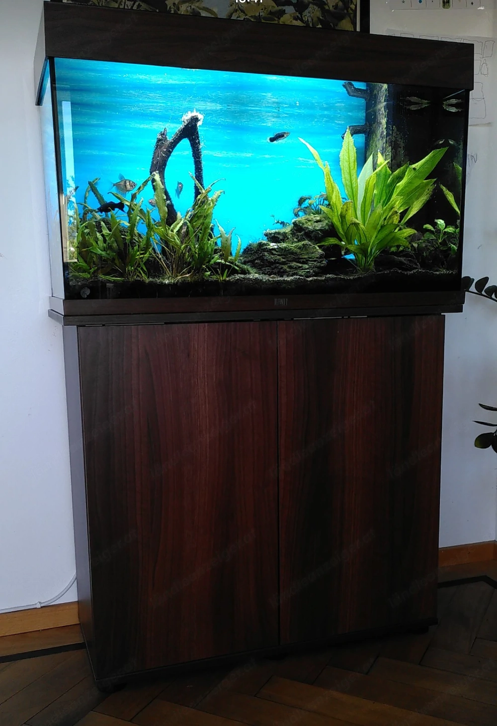 Aquarium, voll ausgestattet, inkl. Zubehör 