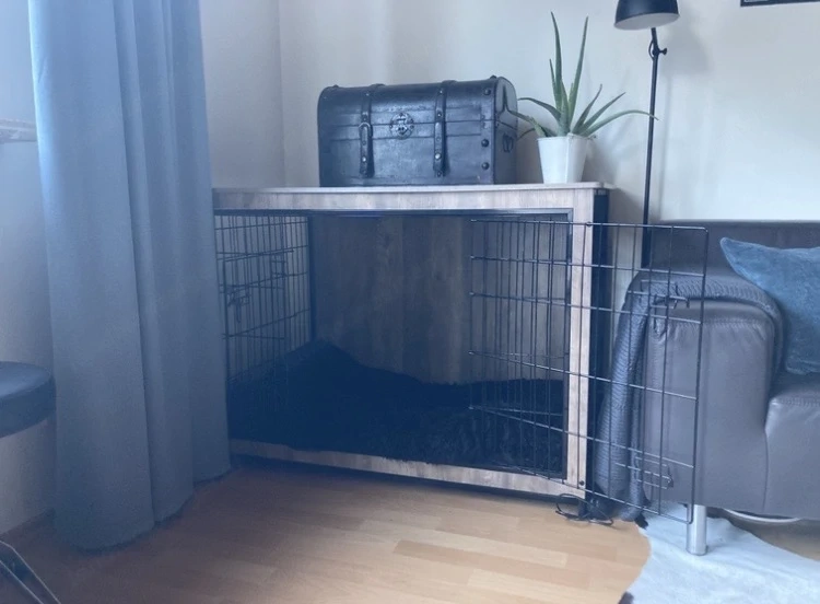 Hundebett Hundemöbel Hundebox