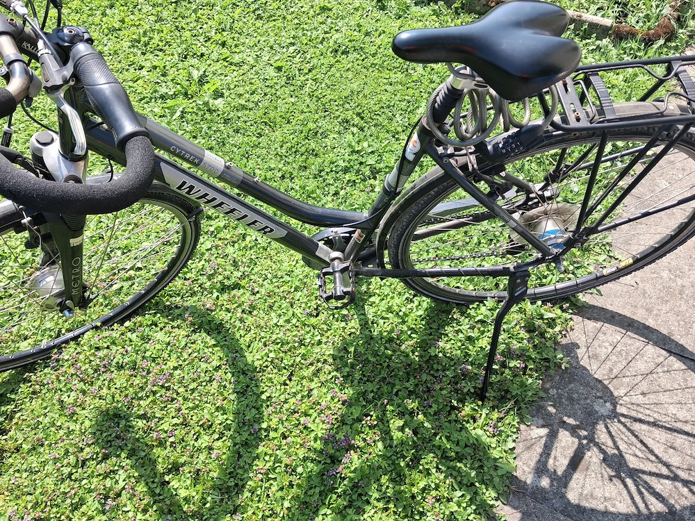 Wheeler CyTrek 5700 Damenrad
