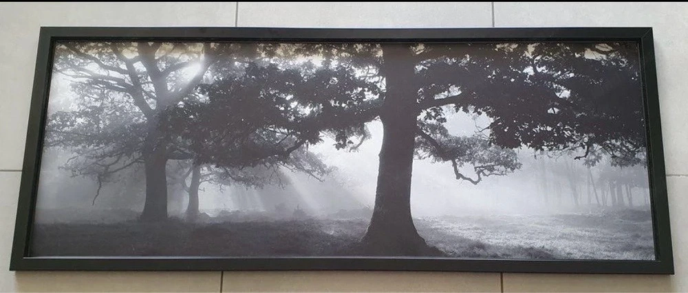 IKEA BJÖRKSTA Wandbild 140x56 cm   neu & komplett